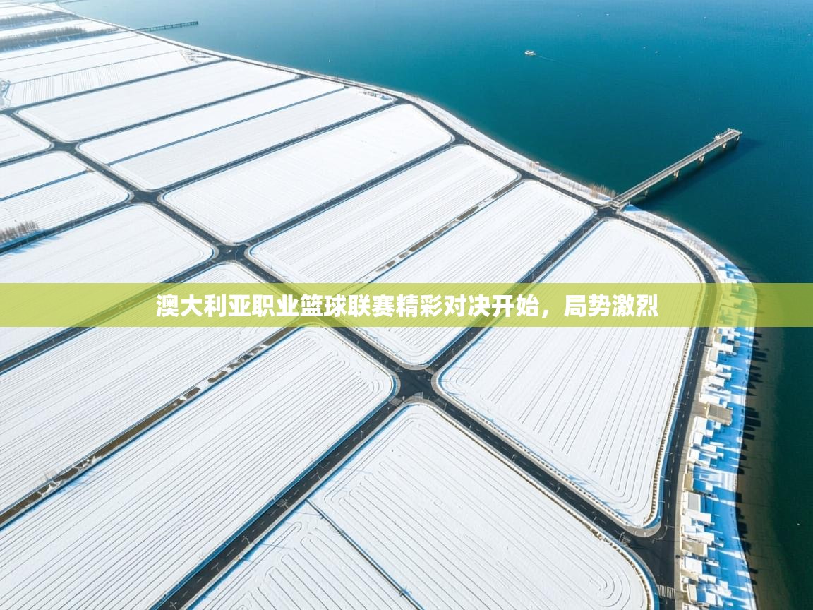 澳大利亚职业篮球联赛精彩对决开始，局势激烈