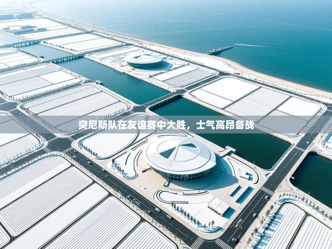 突尼斯队在友谊赛中大胜，士气高昂备战