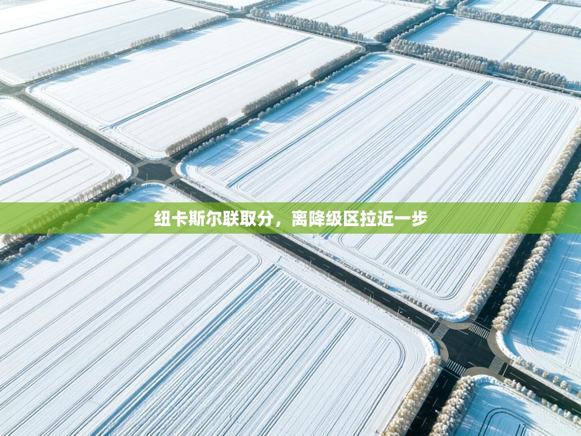 纽卡斯尔联取分，离降级区拉近一步